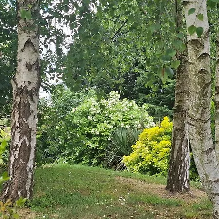 La Cauvignyere *